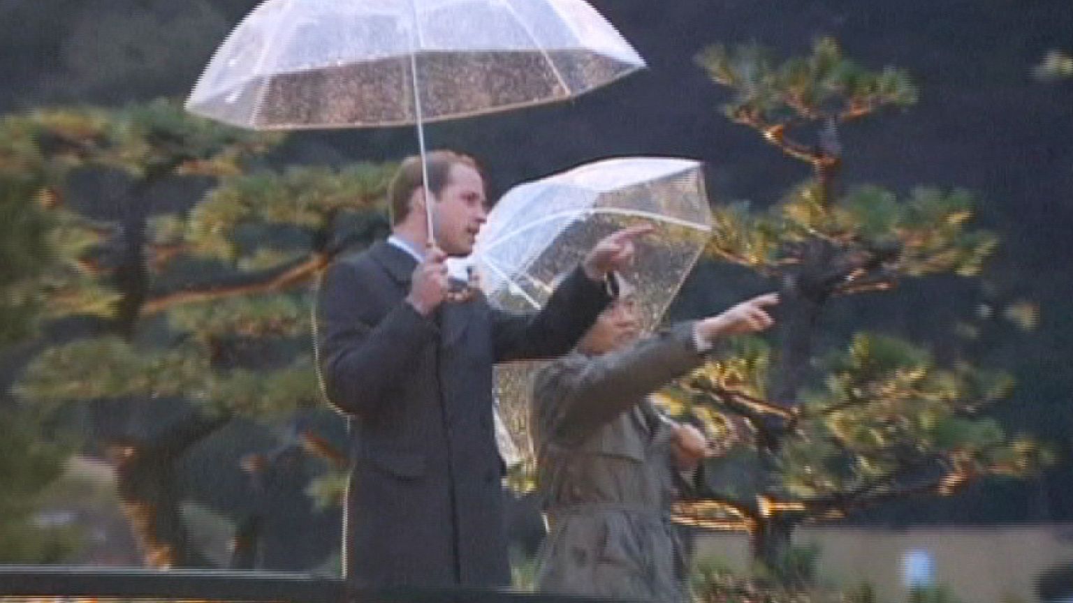 Prince William welcomed by crowds in Tokyo