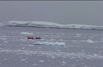 Robert Island nos muestra el destino desastroso de la Antártida