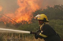 Συναγερμός στο Κέιπ Τάουν λόγω μεγάλης πυρκαγιάς (εικόνες+βίντεο)