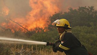 Feuer in Südafrika: Die Wut der Flammen in Bildern