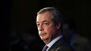 "Changer notre relation à l'Union européenne", le souhait du chef de file du UKIP