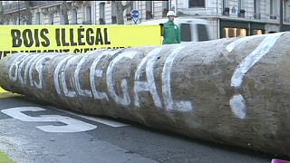 Manifestación de Greenpeace contra el tráfico ilegal de madera en Europa