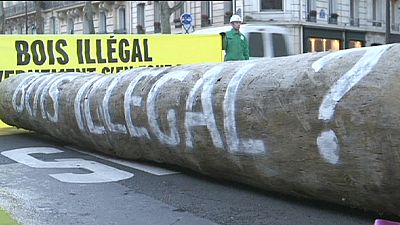 Manifestación de Greenpeace contra el tráfico ilegal de madera en Europa