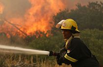South Africa wildfires now under control