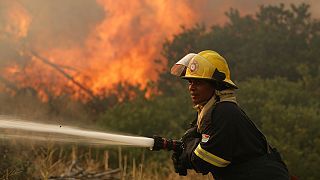 Incendio en el parque nacional surafricano de Montaña de la Mesa