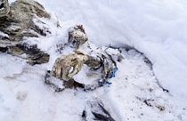 Um abraço de 56 anos sob a neve do pico mais alto do México
