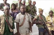 Нигерия: войска африканских стран теснят боевиков "Боко харам"