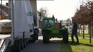 Vogelgrippe in den Niederlanden