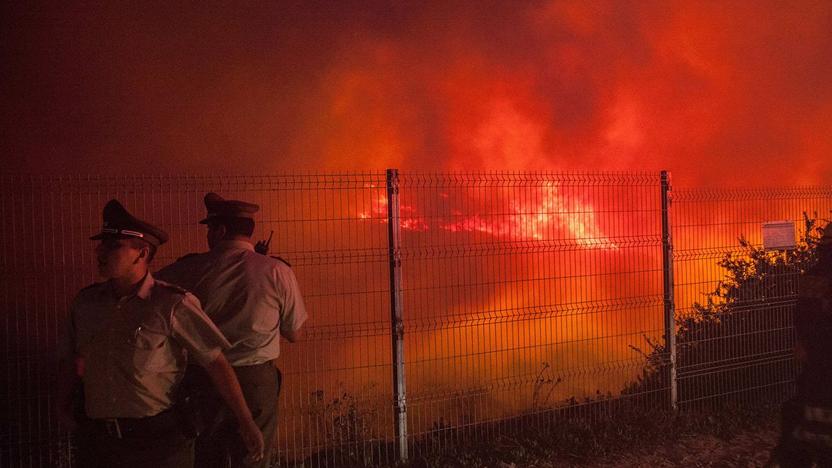 Chile: Waldbrände treiben Menschen in die Flucht
