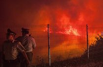 Chili : la région de Valparaiso ravagée par les flammes