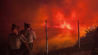 Şili'nin liman kentinde korkutan orman yangını