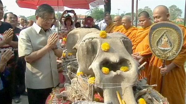 Thailand celebrates Elephant Day Thailand celebrates Elephant Day