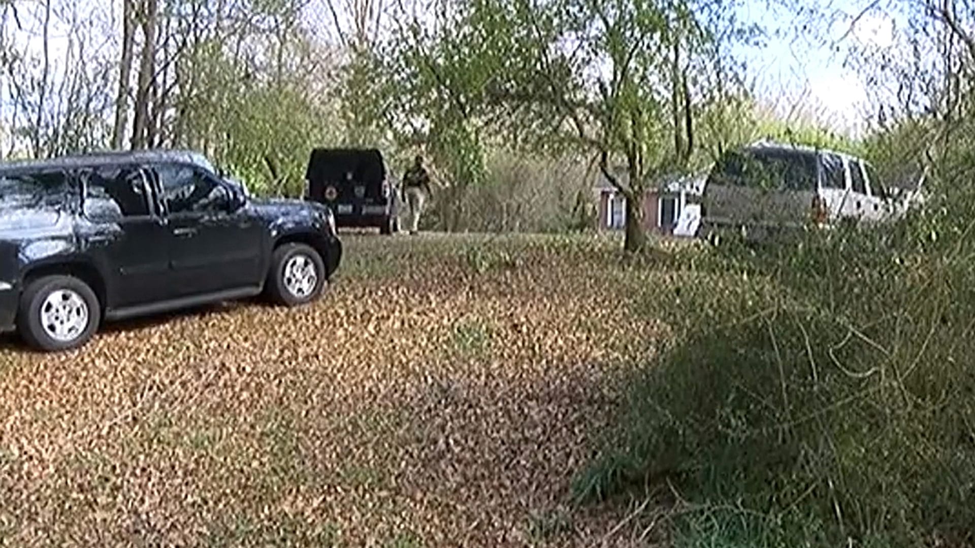 Mississippi lynching? Black man found dead hanging from tree | Euronews