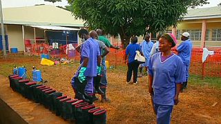 Ebola virus one year after disease declared in Guinea