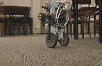 Siz de evinizde kendi robotunuzu yapabilirsiniz