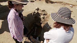 «Η Αρχαιολόγος»: Ο αγώνας μιας γυναίκας ενάντια σε ένα φράγμα