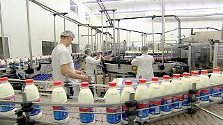 ЕС отменяет квоты на молоко