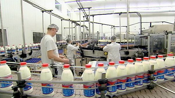 ЕС отменяет квоты на молоко ЕС отменяет квоты на молоко