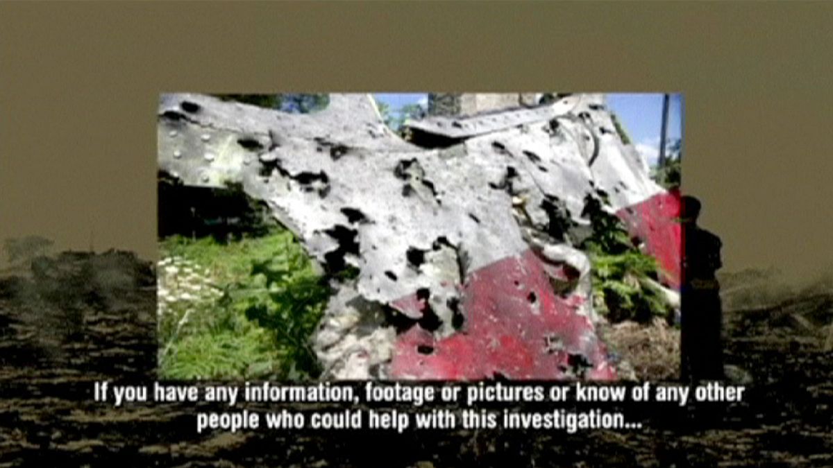 درخواست کمک از شاهدان عینی درباره سقوط هواپیمای مالزیایی در اوکراین
