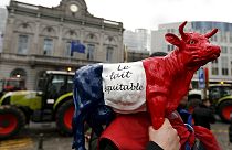 Фермеры протестуют против отмены квот на производство молока в ЕС