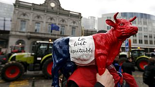 Manifestación en Bruselas contra el fin de las cuotas lácteas