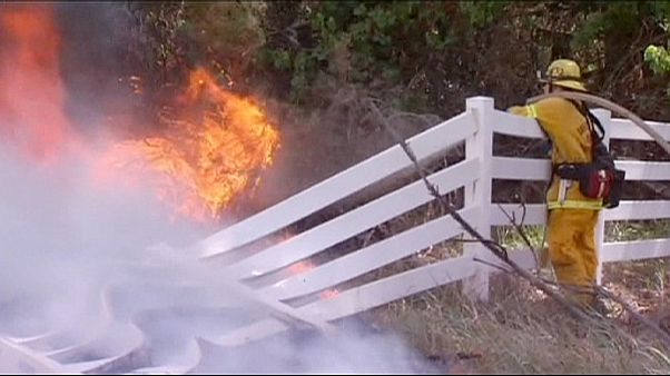 Vasto incendio a Nord-Est di Los Angeles Vasto incendio a Nord-Est di Los Angeles