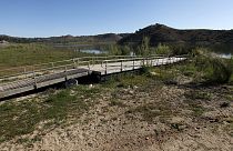 Langzeitdürre: Kalifornien erlässt Wasserrestriktionen