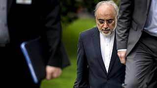 Iran nuclear talks enter day eight with progress made but no deal drafted