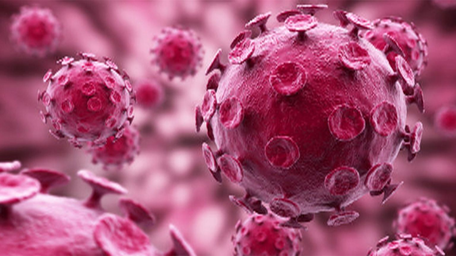 HIV 'spreads in similar way to computer virus'