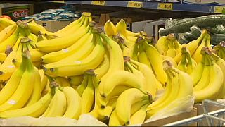 Supermercado checo recebe bananas com cocaína