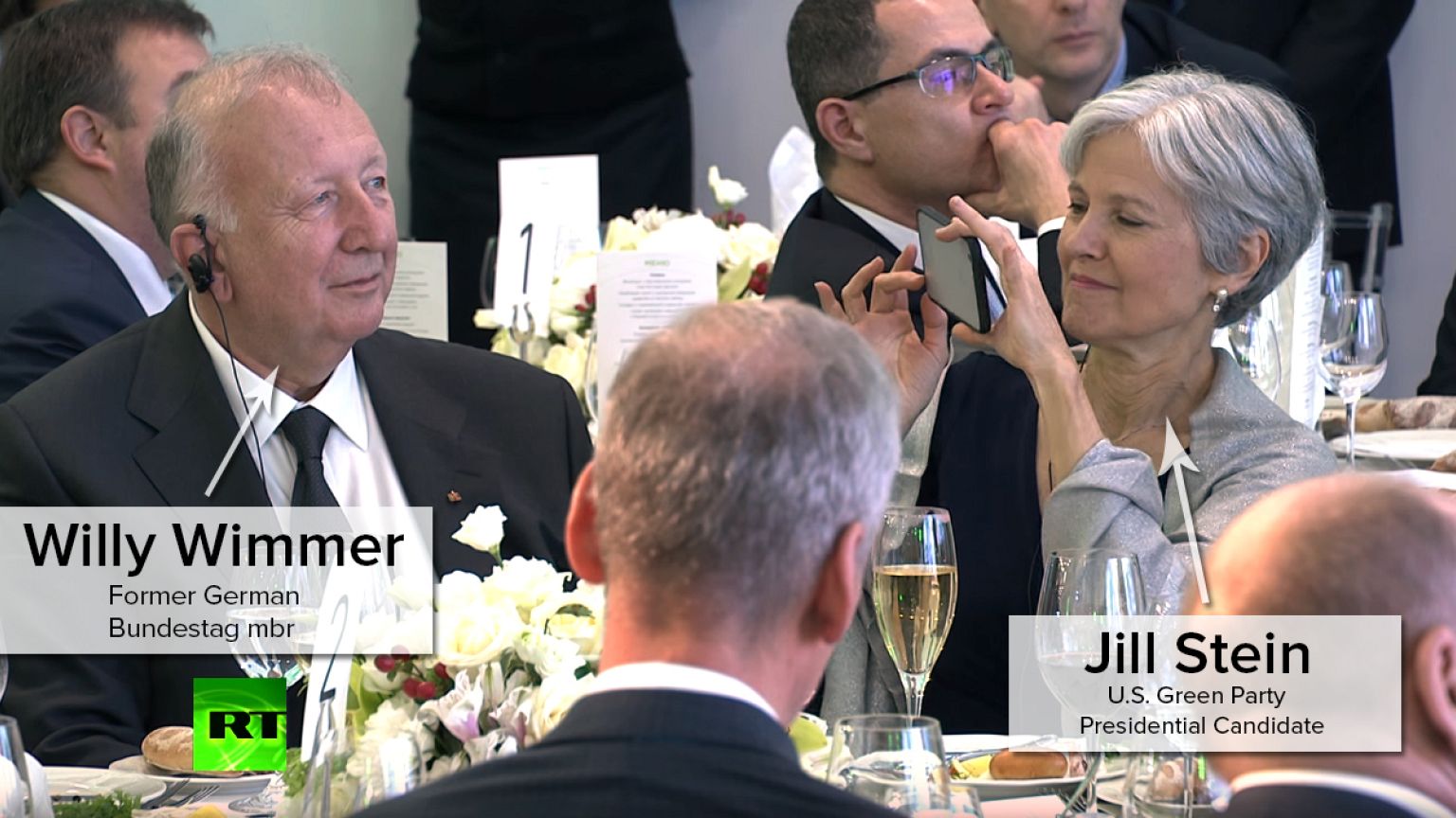 Willy Wimmer, Jill Stein