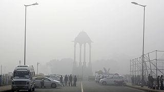 Atemberaubendes Neu-Delhi: Kampf der Luftverschmutzung