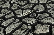 فيورينا تحمل المدافعين عن البيئة مسؤولية الجفاف في كاليفورنيا