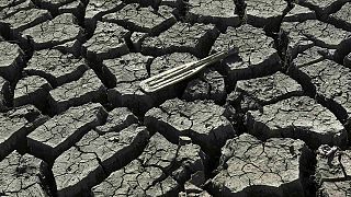 Засуха в Калифорнии: кто виноват