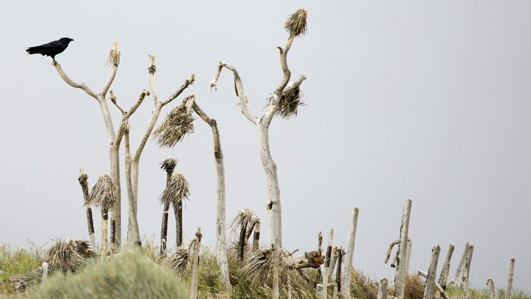 Comment expliquer la sécheresse ?