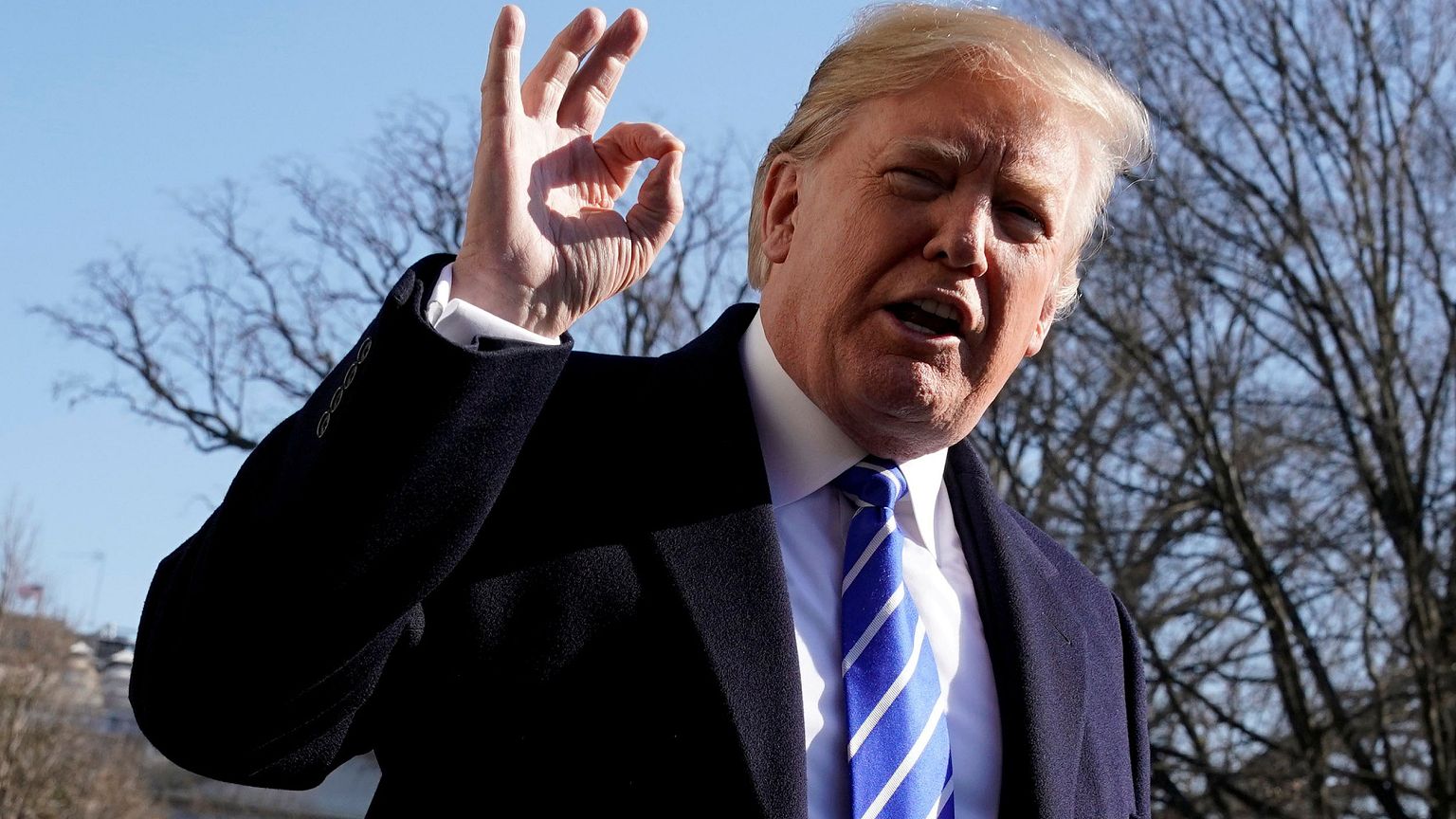 Image: President Donald Trump