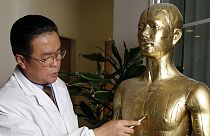 Pitypang, útifű, cukorkóró – kínai gyógynövények a magyarok egészségéért – interjú Dr. Chennel