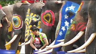 Los elefantes marcan el comienzo del Festival del Agua en Tailandia
