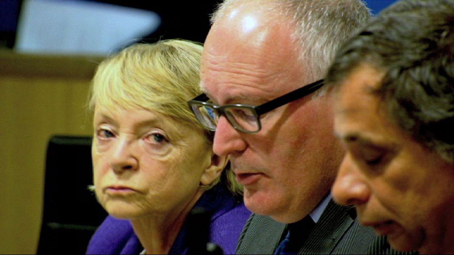 Do EU petitions work?