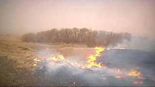Dramatiques feux de prairie en Russie