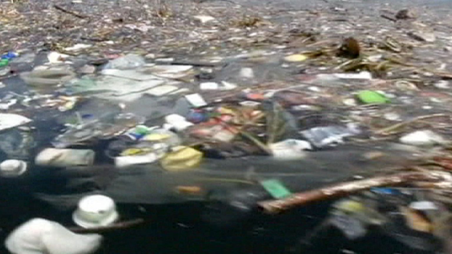 Βραζιλία: Τόνοι νεκρών ψαριών στο ολυμπιακό κωπηλατοδρόμιο