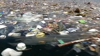 Rio de Janeiro peine à dépolluer sa baie