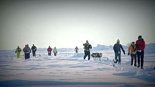 North Pole Marathon: la folle corsa a piedi a -41°