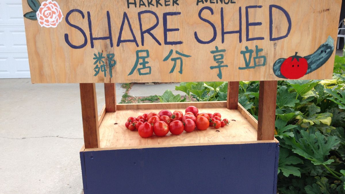 A garden and a 'Share Shed' are helping this couple build a more inclusive neighborhood