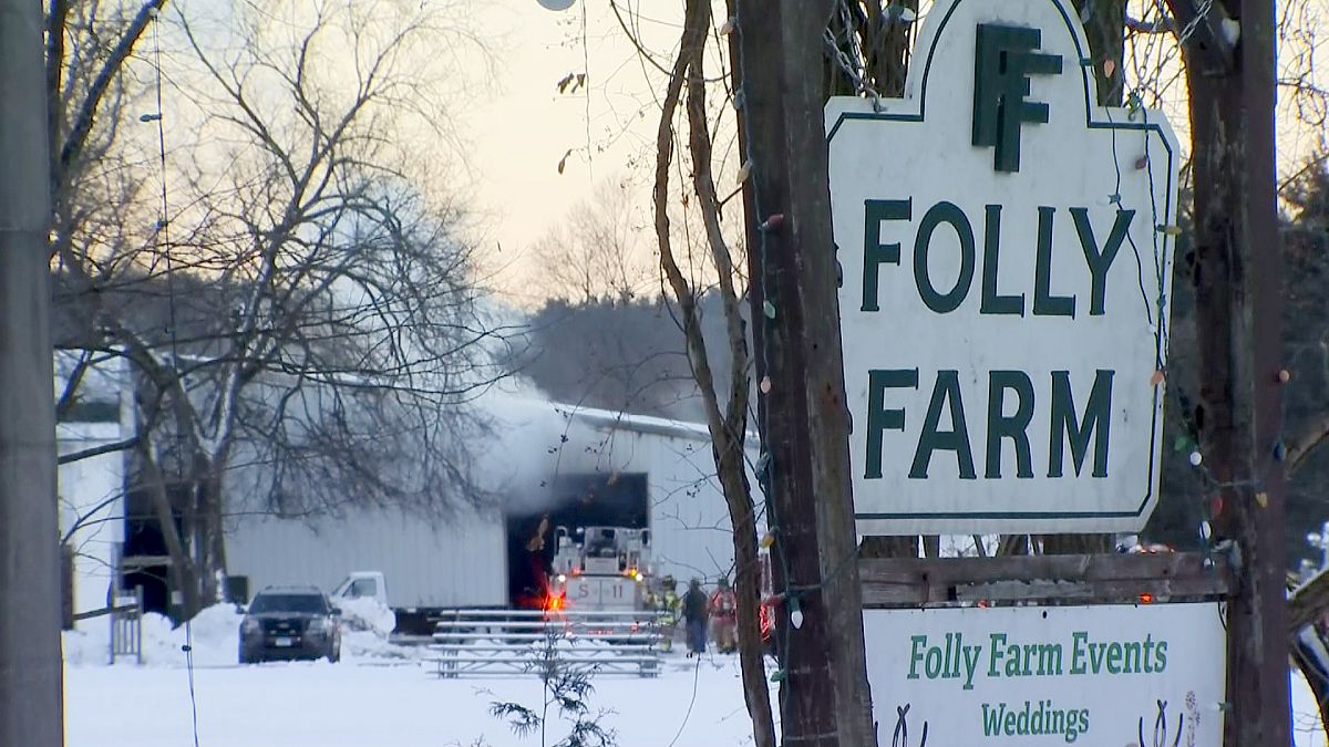 Image: After a fire at Folly Farm in Simsbury, Connecticut, 24 horses passe