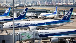 Image: All Nippon Airways (ANA)