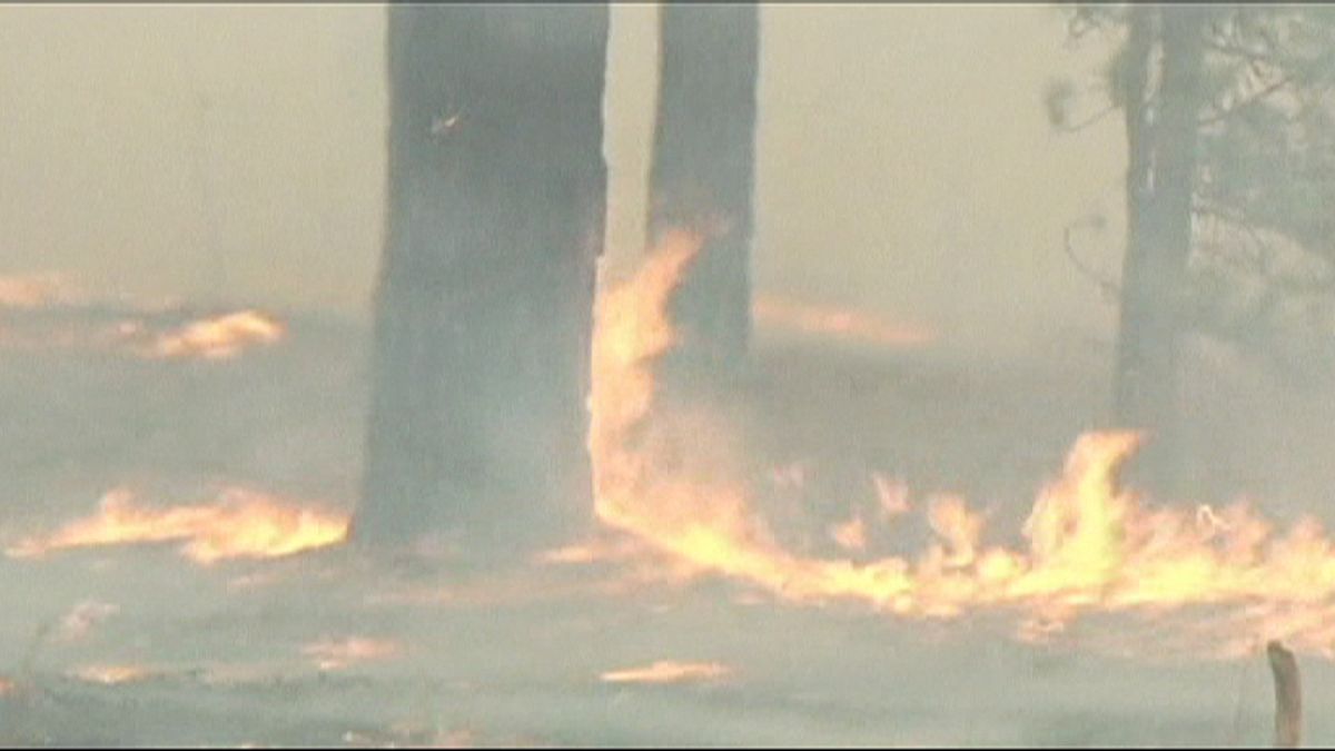 Inzwischen mehr als 100 Flächenbrände in Sibirien