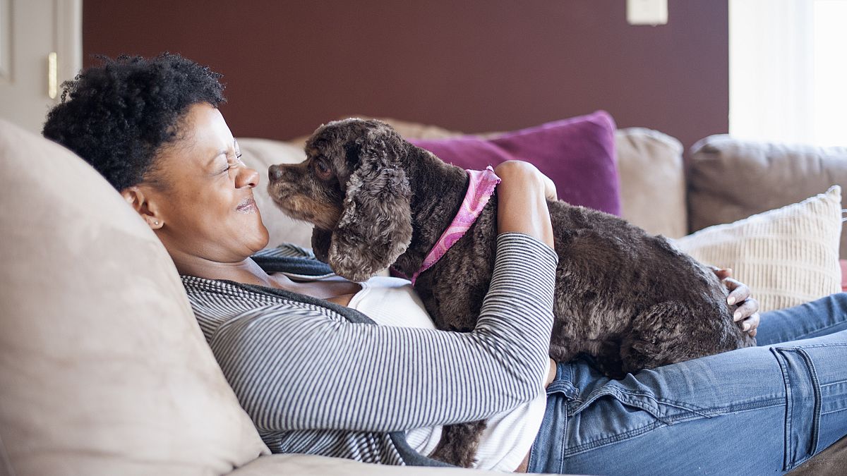 Image: Adult Woman Lounging on Couch with her Cocker Spaniel Dog on her Lap