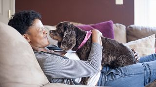 Image: Adult Woman Lounging on Couch with her Cocker Spaniel Dog on her Lap