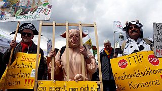 Decenas de miles de manifestantes protestan contra el Tratado de Libre Comercio e Inversiones en toda Europa